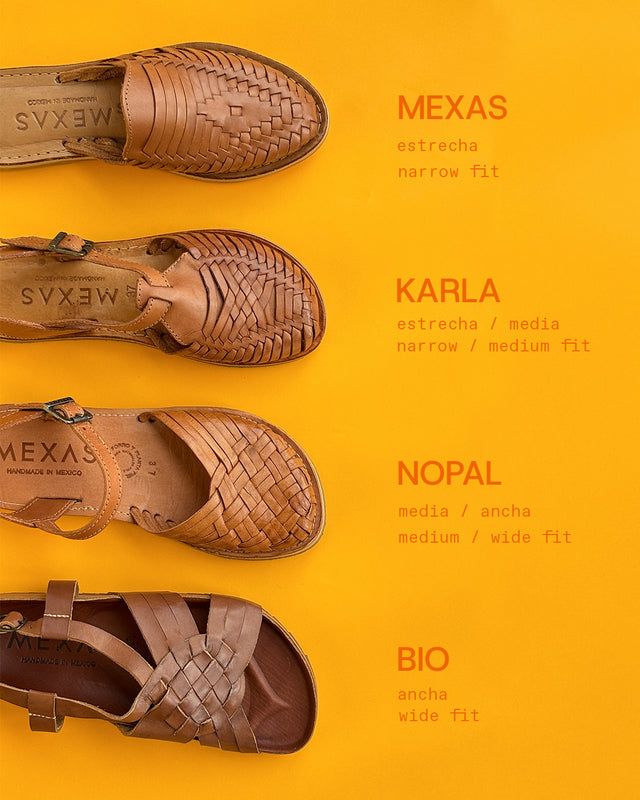 NOPAL (Transition)